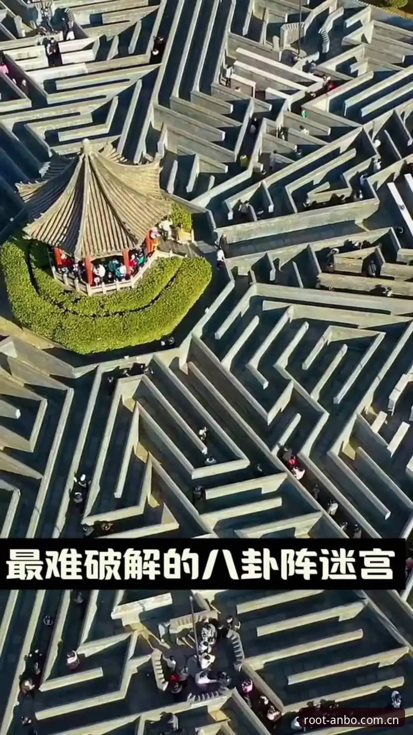 数据迷宫的两种走法：避坑指南 vs 盲目尝试——2026根植进取真人赛事数据的正确打开方式